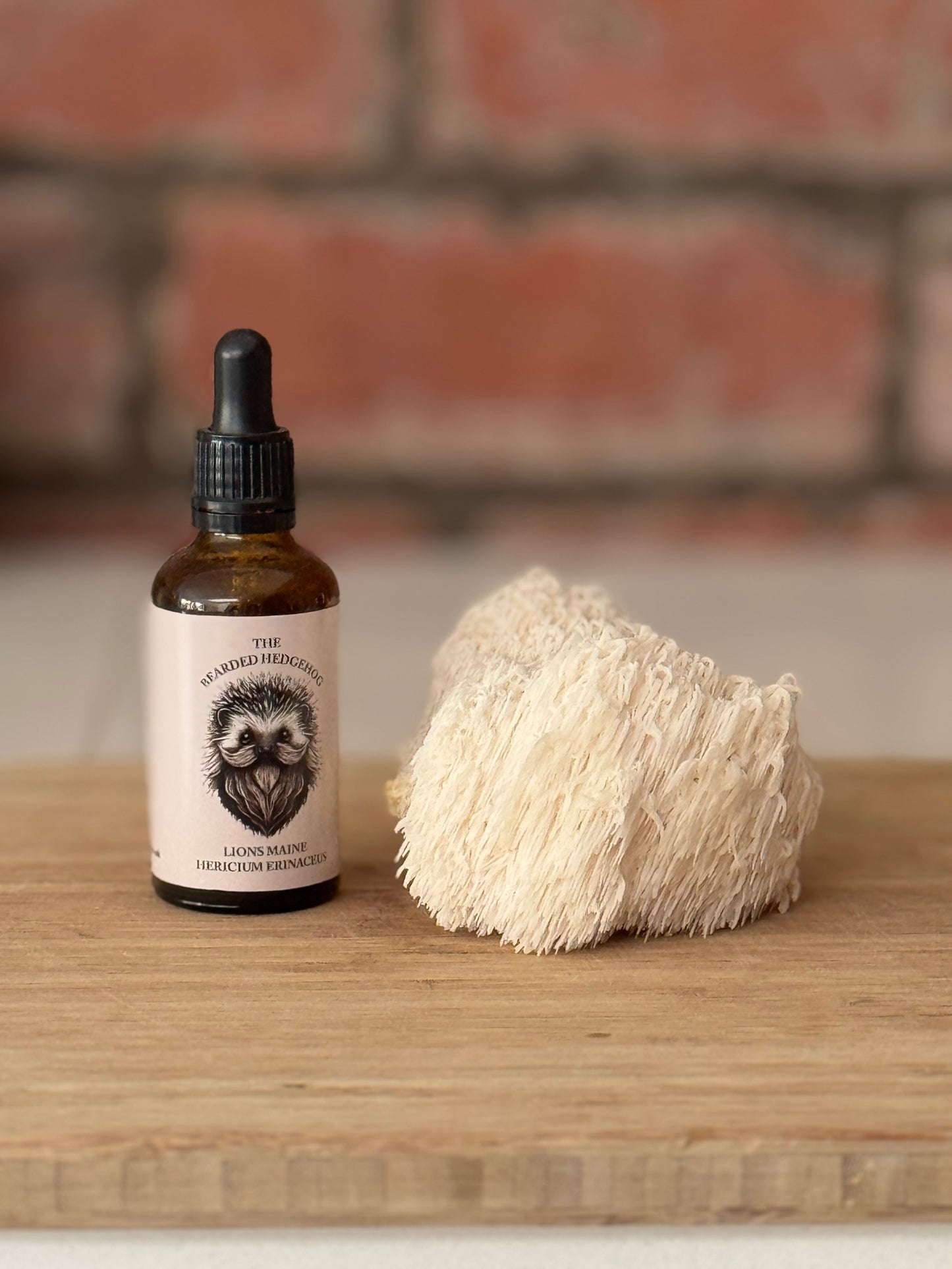 The Bearded Hedgehog Lions Mane Ticture